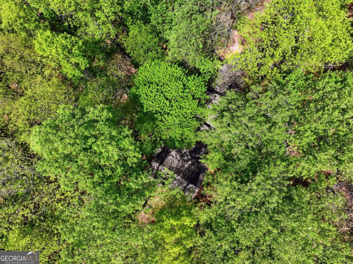 225 Windflower Drive Big Canoe GA 30143