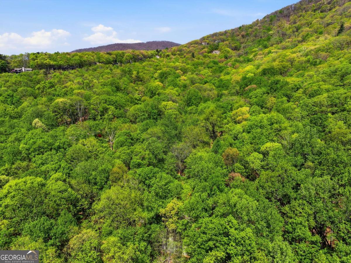 225 Windflower Drive Big Canoe GA 30143