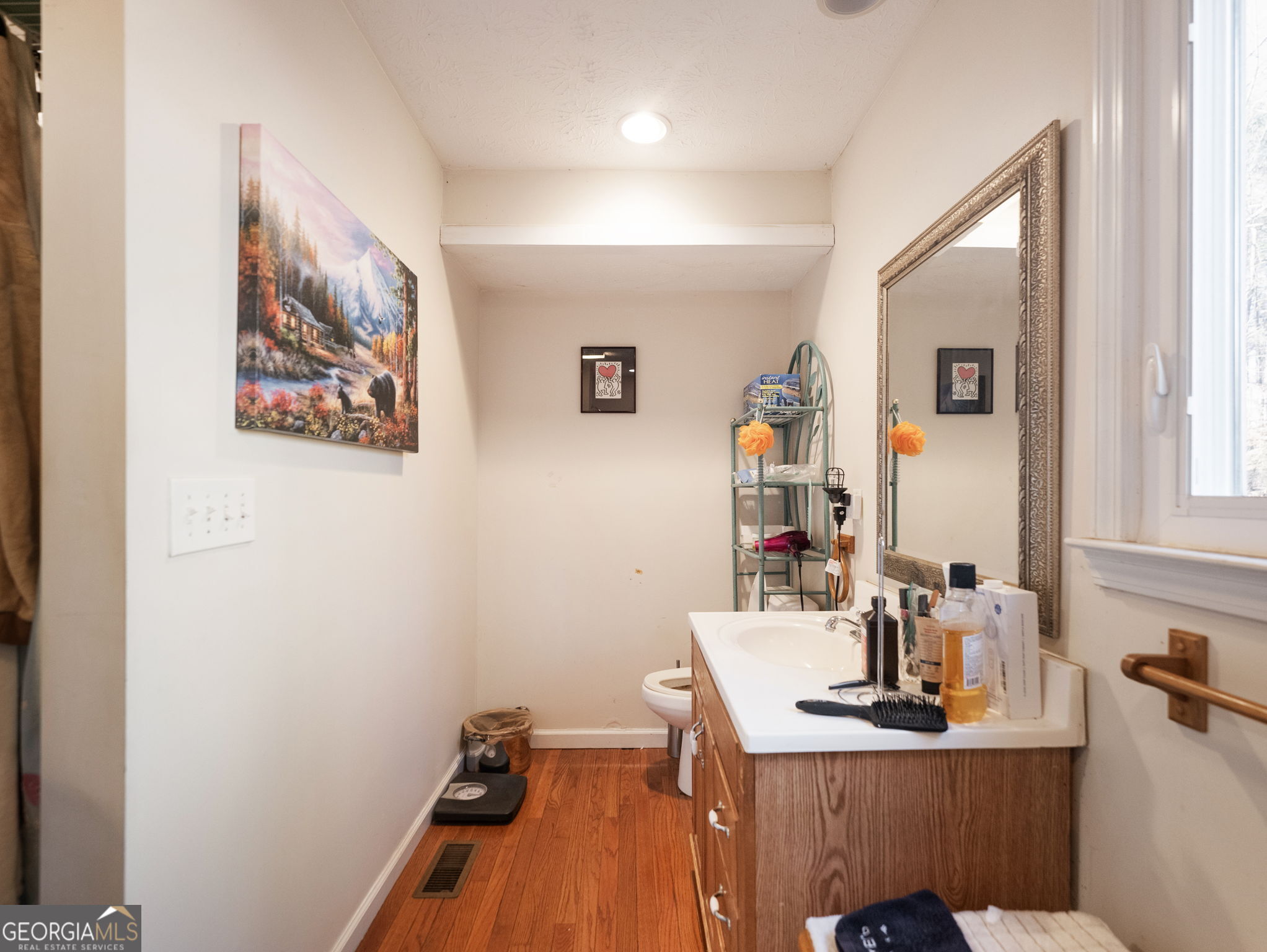 7389 Williams Road Flowery Branch GA 30542