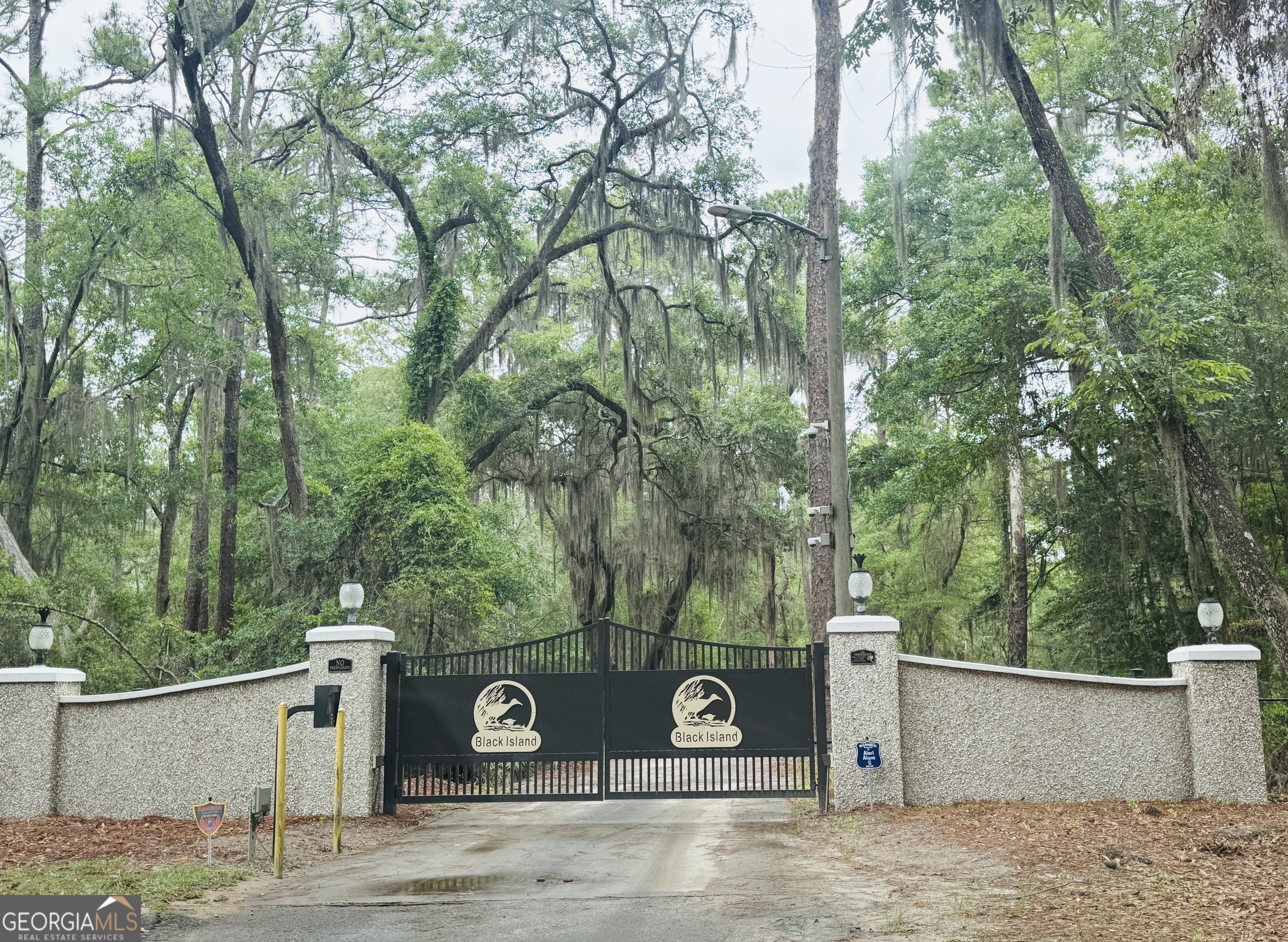 1525 W Black Island Road Darien GA 31305