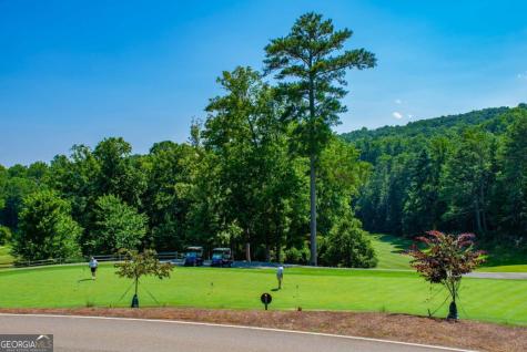 40 Treetopper Lane Jasper GA 30143