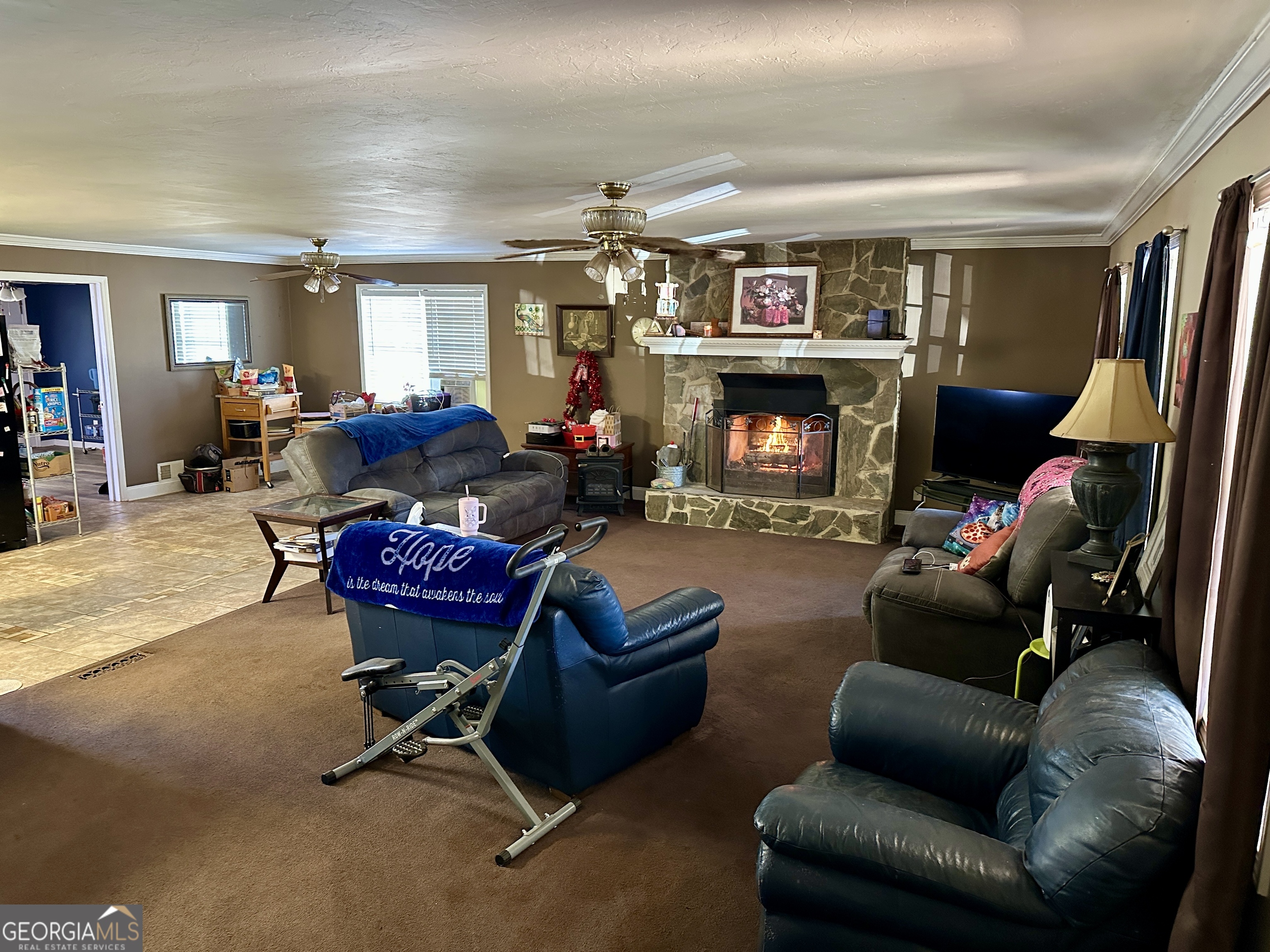 171 Hoyt Road Milner GA 30257