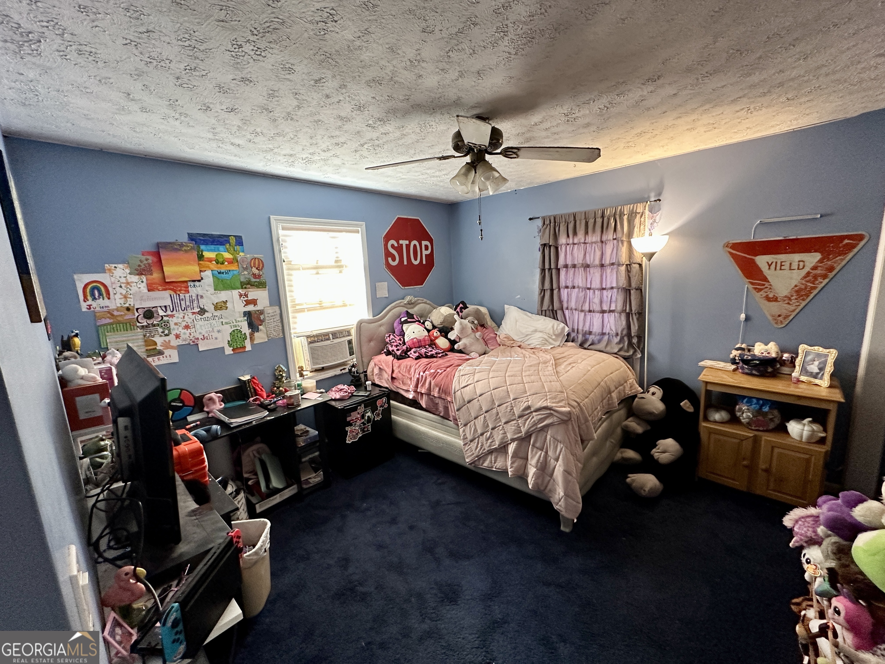 171 Hoyt Road Milner GA 30257