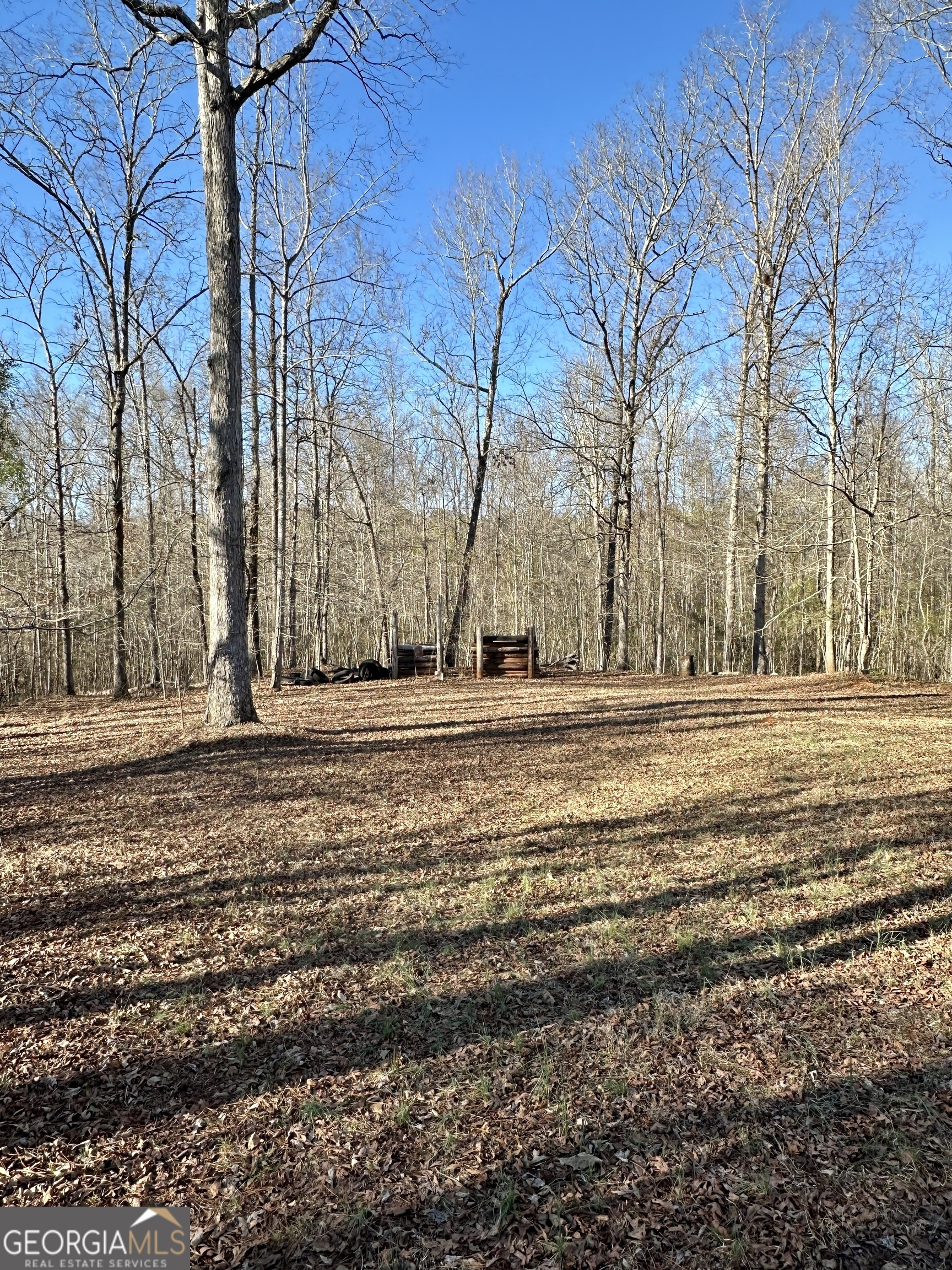 171 Hoyt Road Milner GA 30257