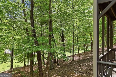 67 Chestnut Knoll Court Jasper GA 30143