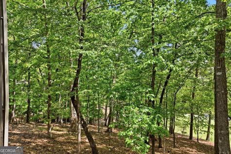 67 Chestnut Knoll Court Jasper GA 30143