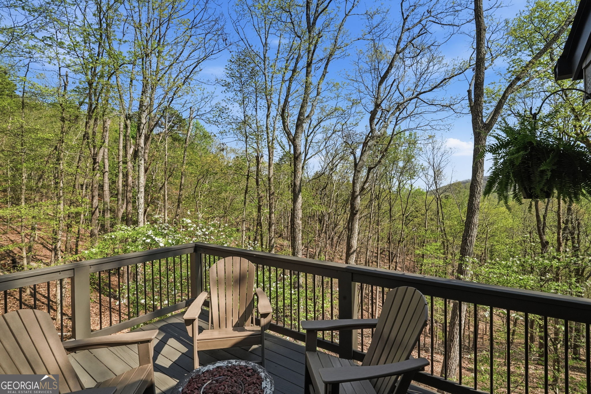 229 Teaberry Lane Jasper GA 30143