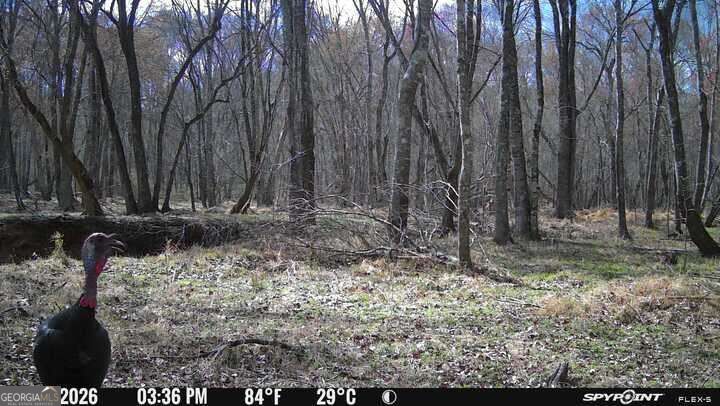 1032 Washington Road Lexington GA 30648
