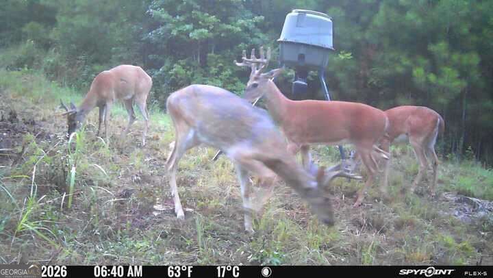 1032 Washington Road Lexington GA 30648