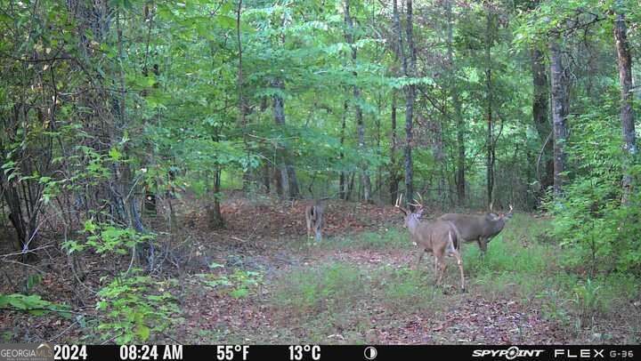 1032 Washington Road Lexington GA 30648