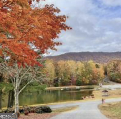 35 Canyon Pass Cleveland GA 30528