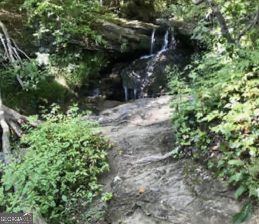 35 Canyon Pass Cleveland GA 30528