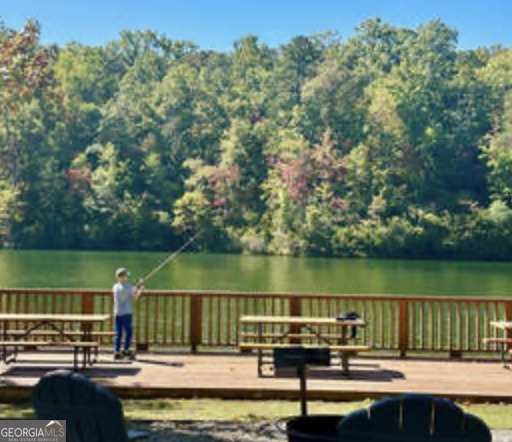 35 Canyon Pass Cleveland GA 30528