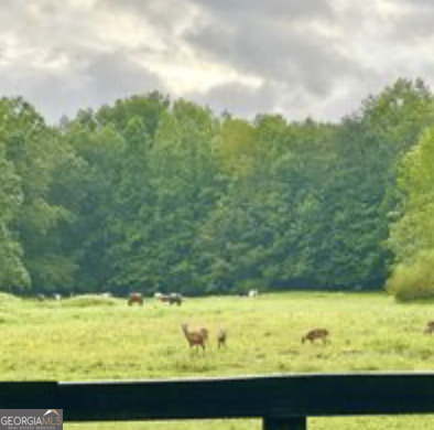 35 Canyon Pass Cleveland GA 30528