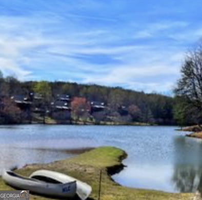 35 Canyon Pass Cleveland GA 30528