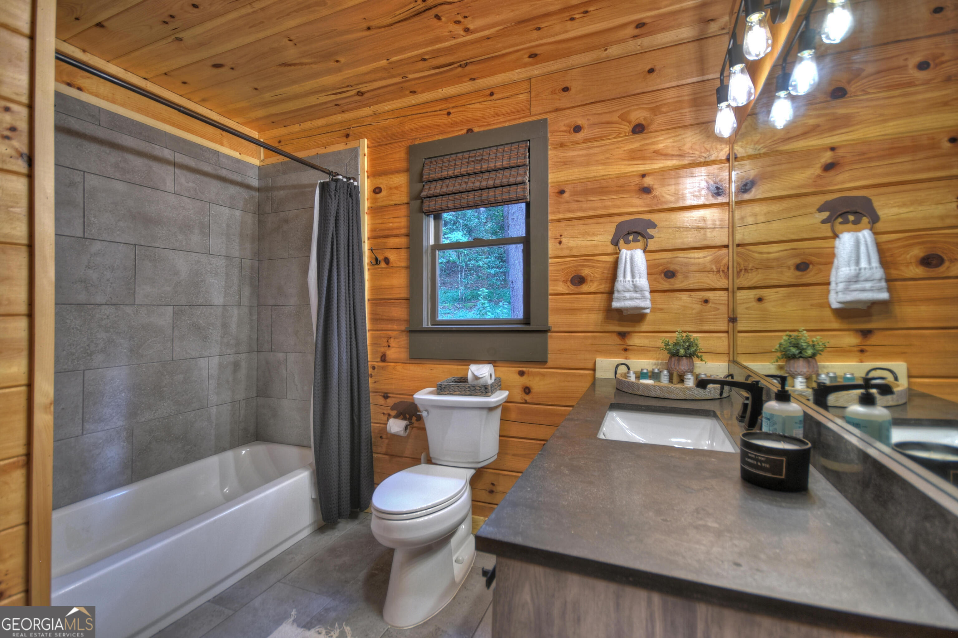 11 Brown Mountain Place Suches GA 30572