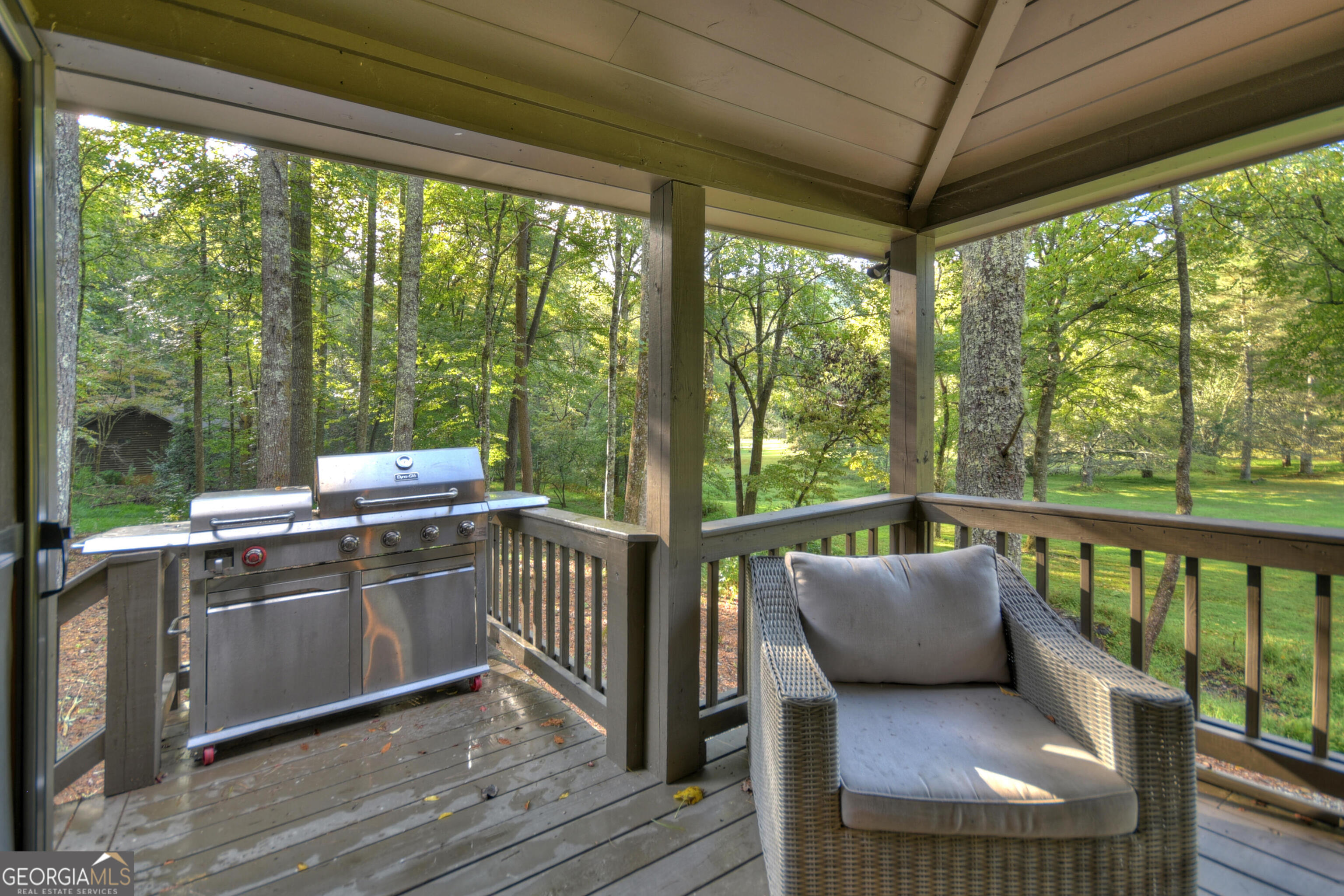 11 Brown Mountain Place Suches GA 30572