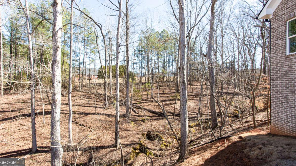 4120 Alayna Lee Circle Mcdonough GA 30252
