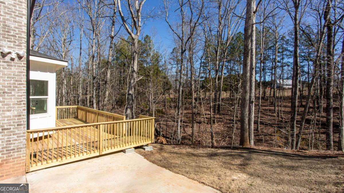 4120 Alayna Lee Circle Mcdonough GA 30252