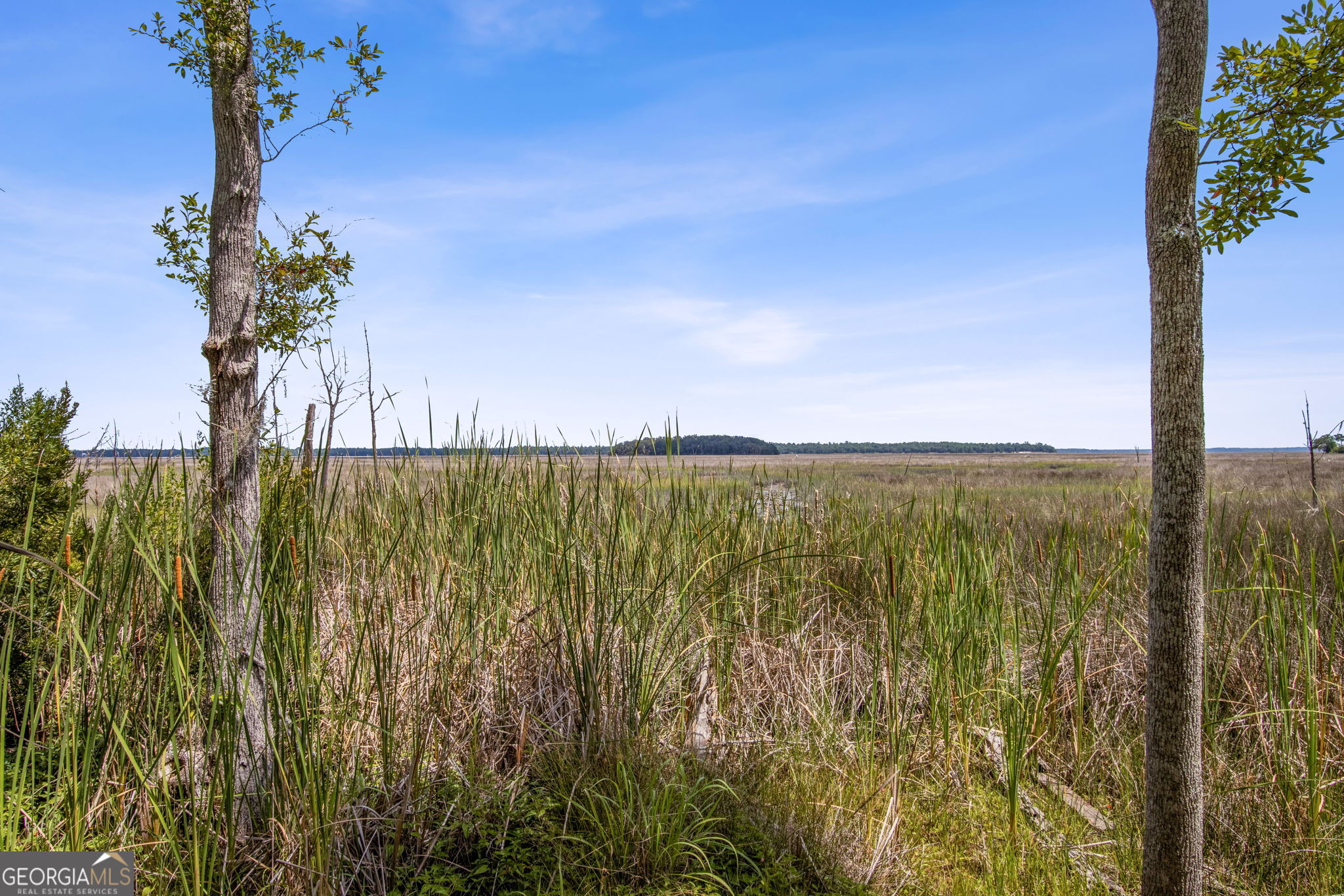 151 Laurel Marsh Way Kingsland GA 31548