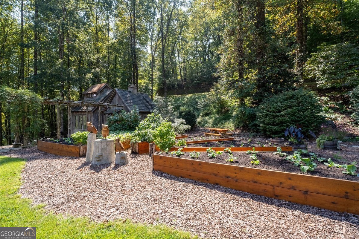 207 Utana Bluffs Trail Ellijay GA 30540