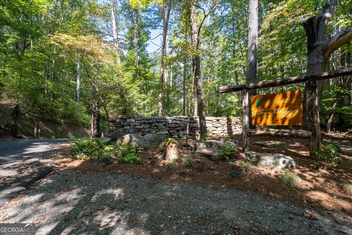 207 Utana Bluffs Trail Ellijay GA 30540