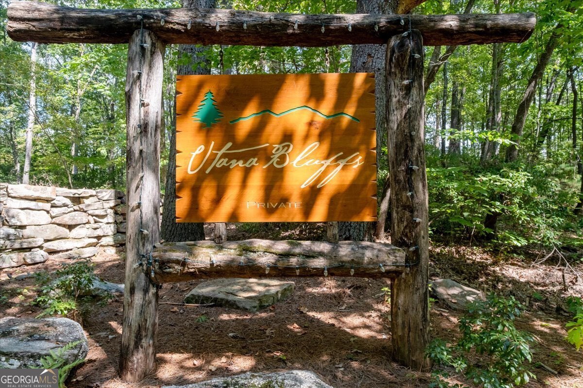 207 Utana Bluffs Trail Ellijay GA 30540