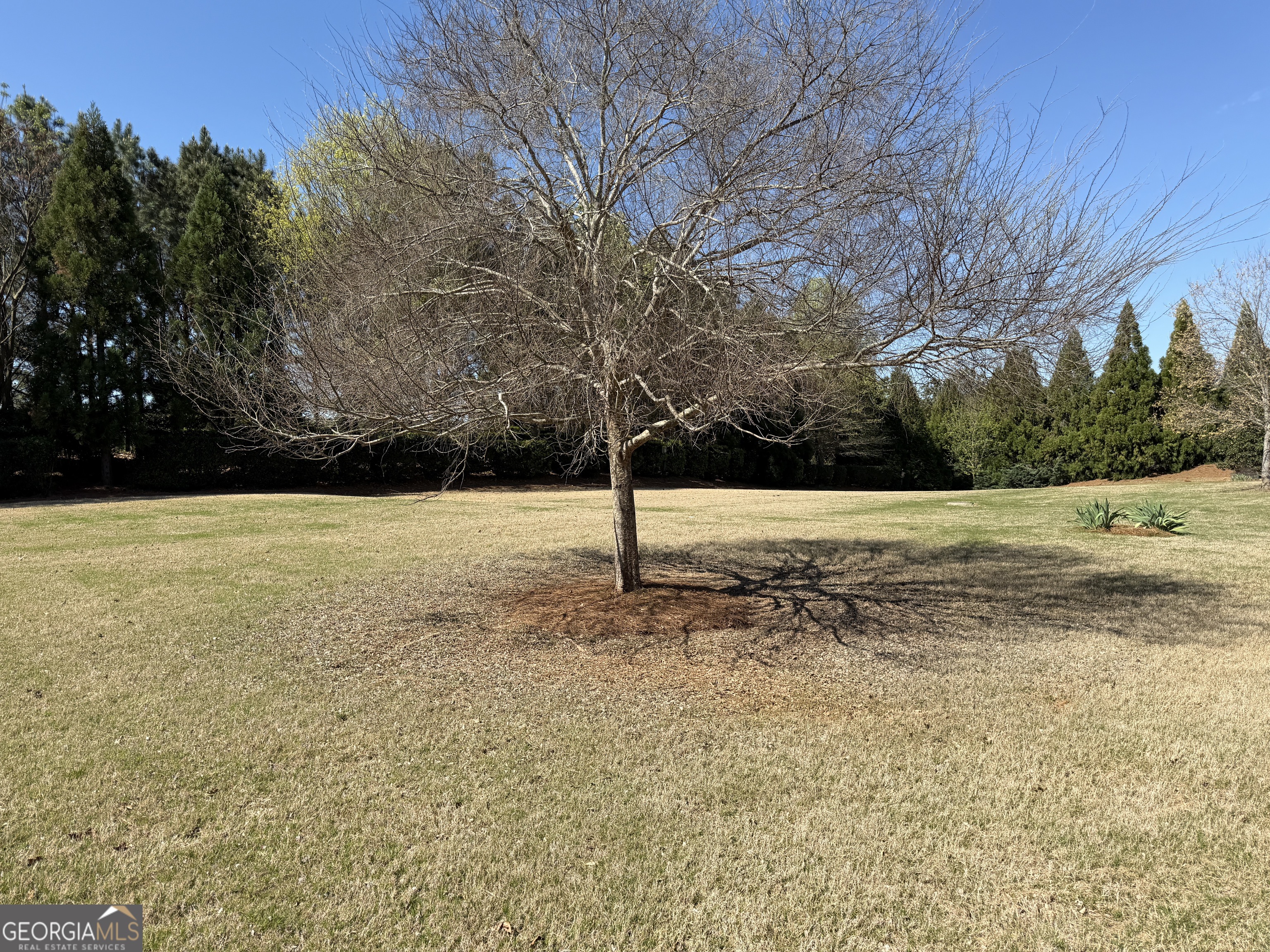 1320 Summer Hollow Road Greensboro GA 30642