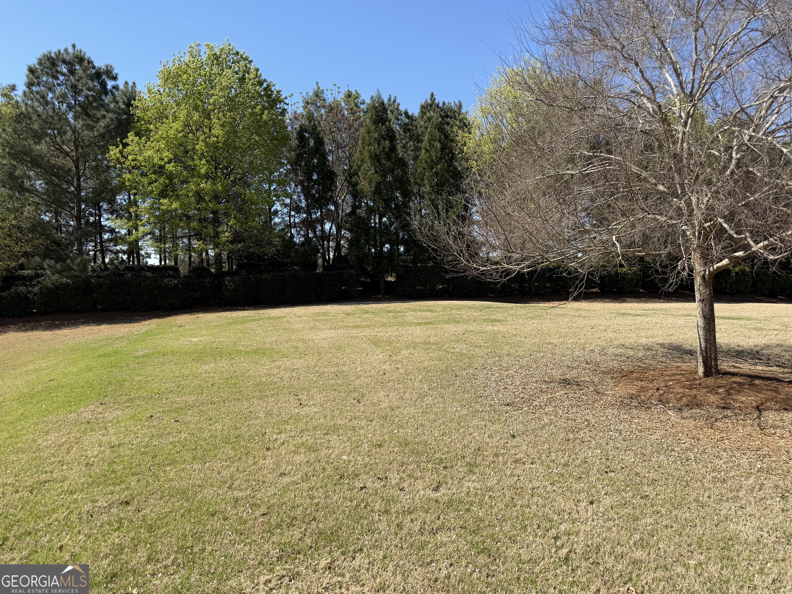 1320 Summer Hollow Road Greensboro GA 30642