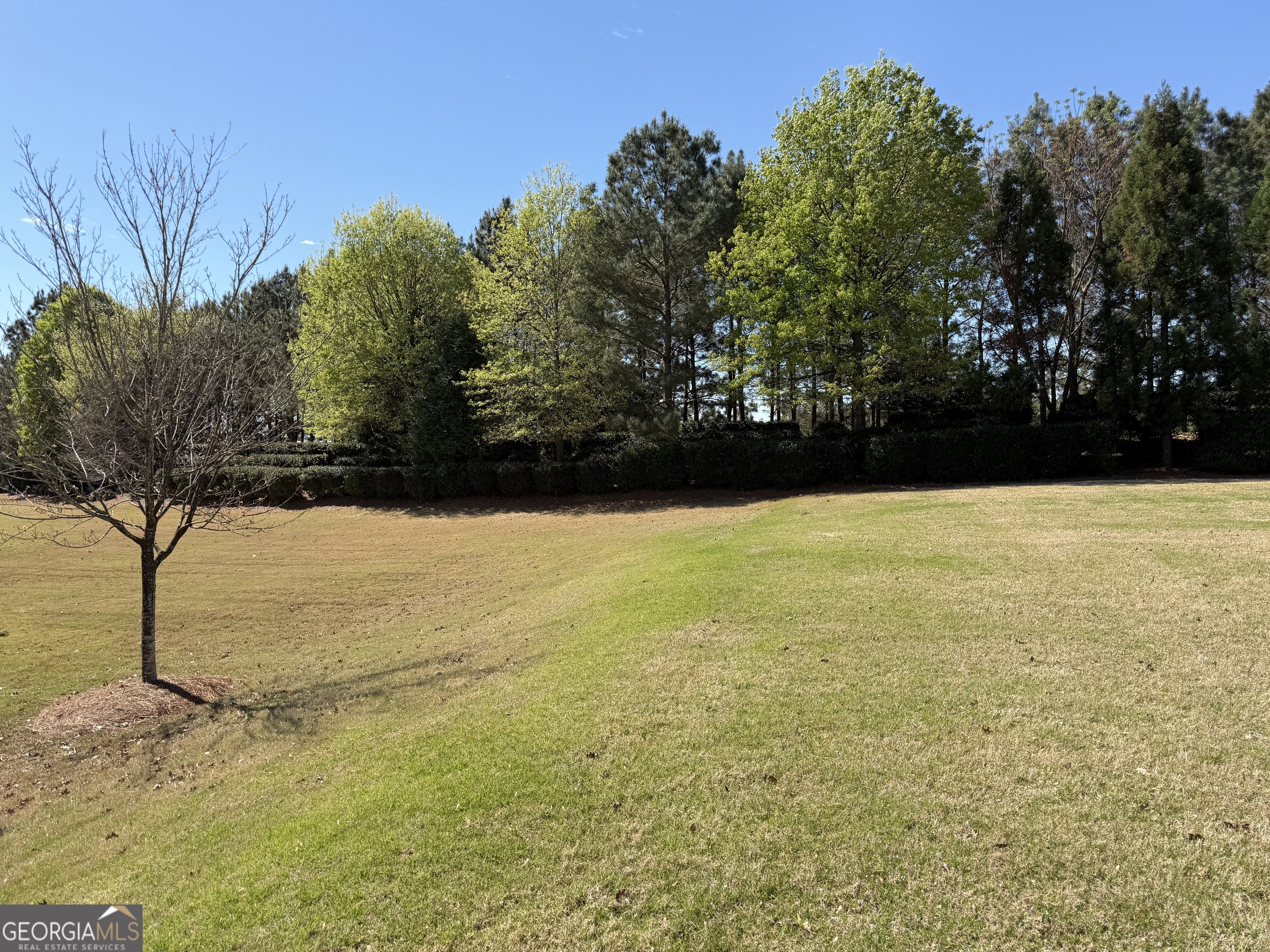 1320 Summer Hollow Road Greensboro GA 30642
