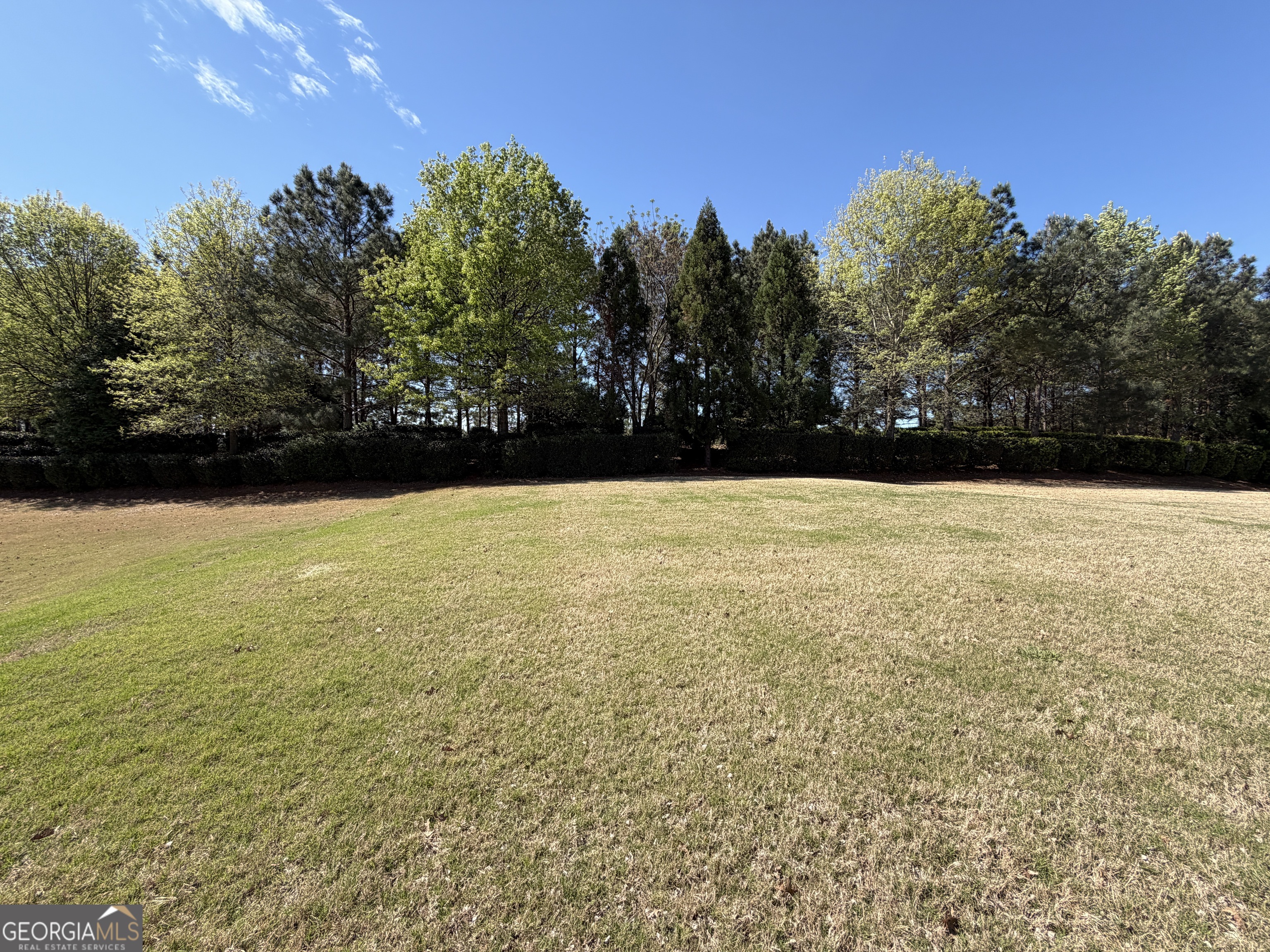 1320 Summer Hollow Road Greensboro GA 30642