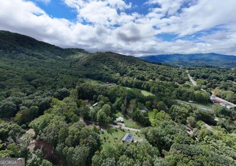 858 Old Forge Estates Hiawassee GA 30546