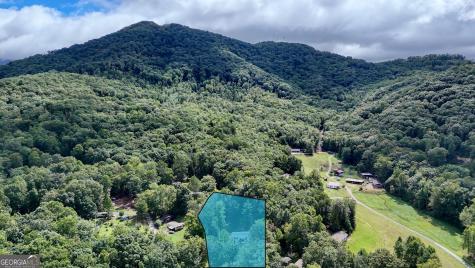 858 Old Forge Estates Hiawassee GA 30546