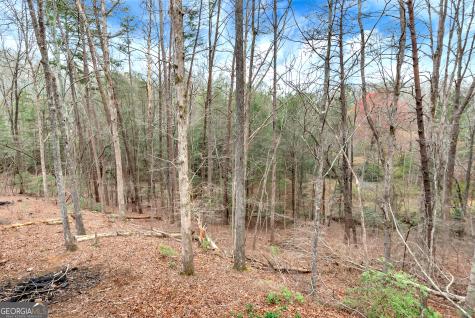 353 Broken Arrow Trail Dahlonega GA 30533
