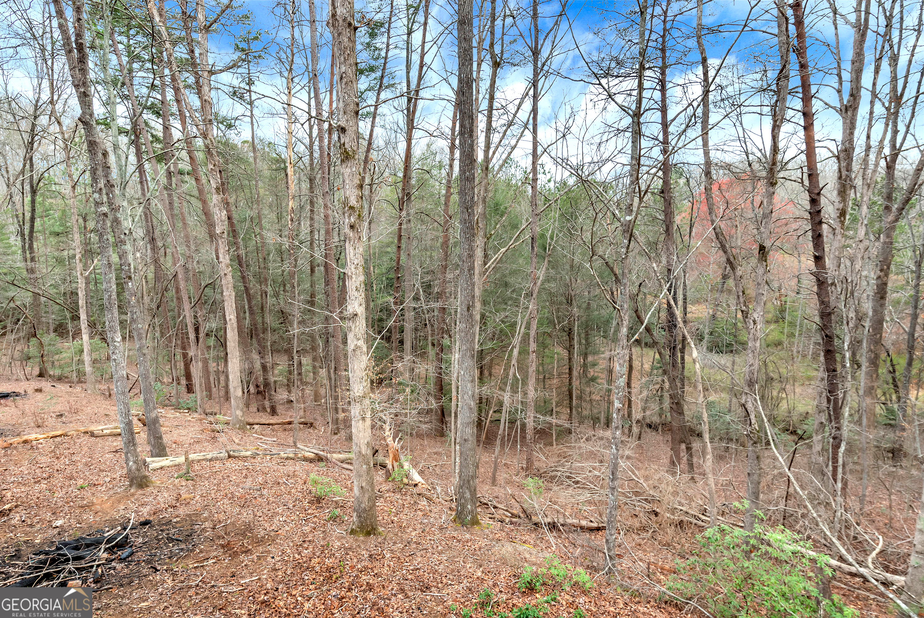 353 Broken Arrow Trail Dahlonega GA 30533