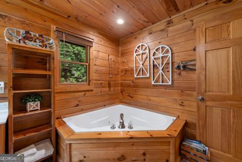 35 Wunder Bear Ridge Road Morganton GA 30560