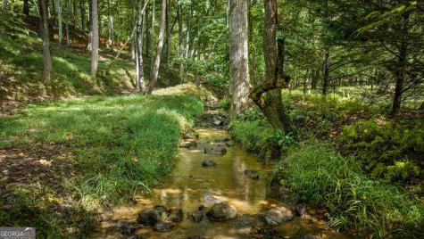 35 Wunder Bear Ridge Road Morganton GA 30560
