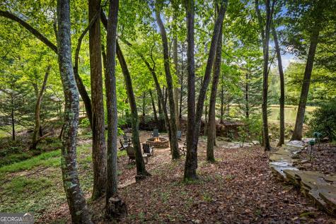 35 Wunder Bear Ridge Road Morganton GA 30560