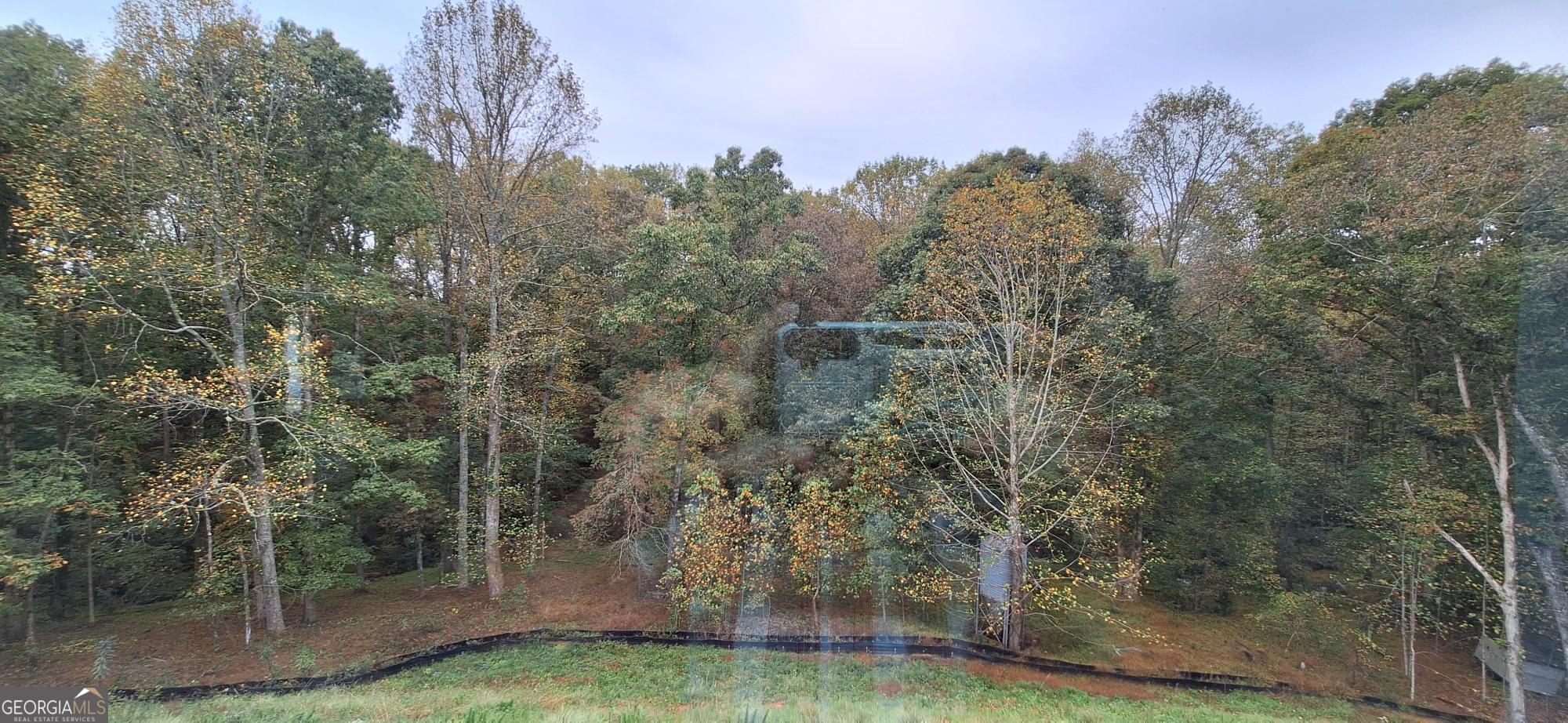 139 Trace Bluff Dawsonville GA 30534