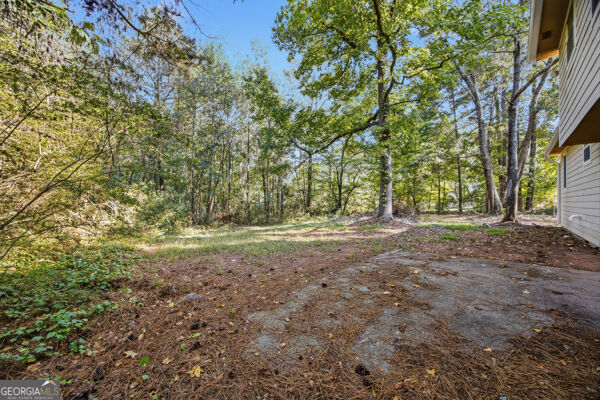 208 Fairview Point Ellenwood GA 30294