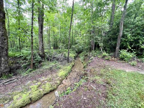 186 Holly Lane Cleveland GA 30528
