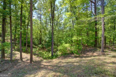 2182 Ben Higgins Road Dahlonega GA 30533