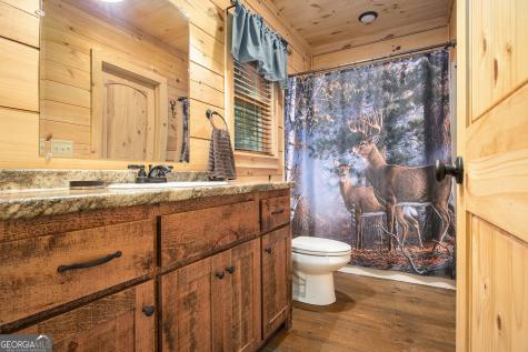 680 Hidden Lake Drive Cherry Log GA 30522