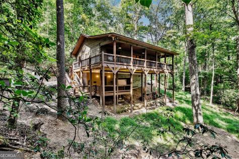 680 Hidden Lake Drive Cherry Log GA 30522
