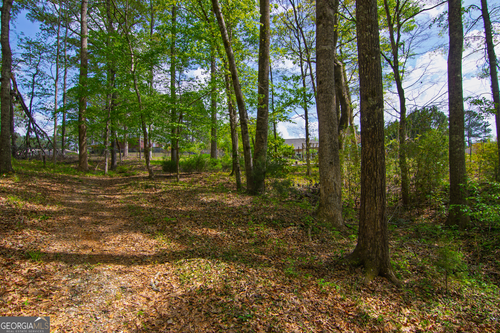 476 Wildwood Plantation Drive Cataula GA 31804