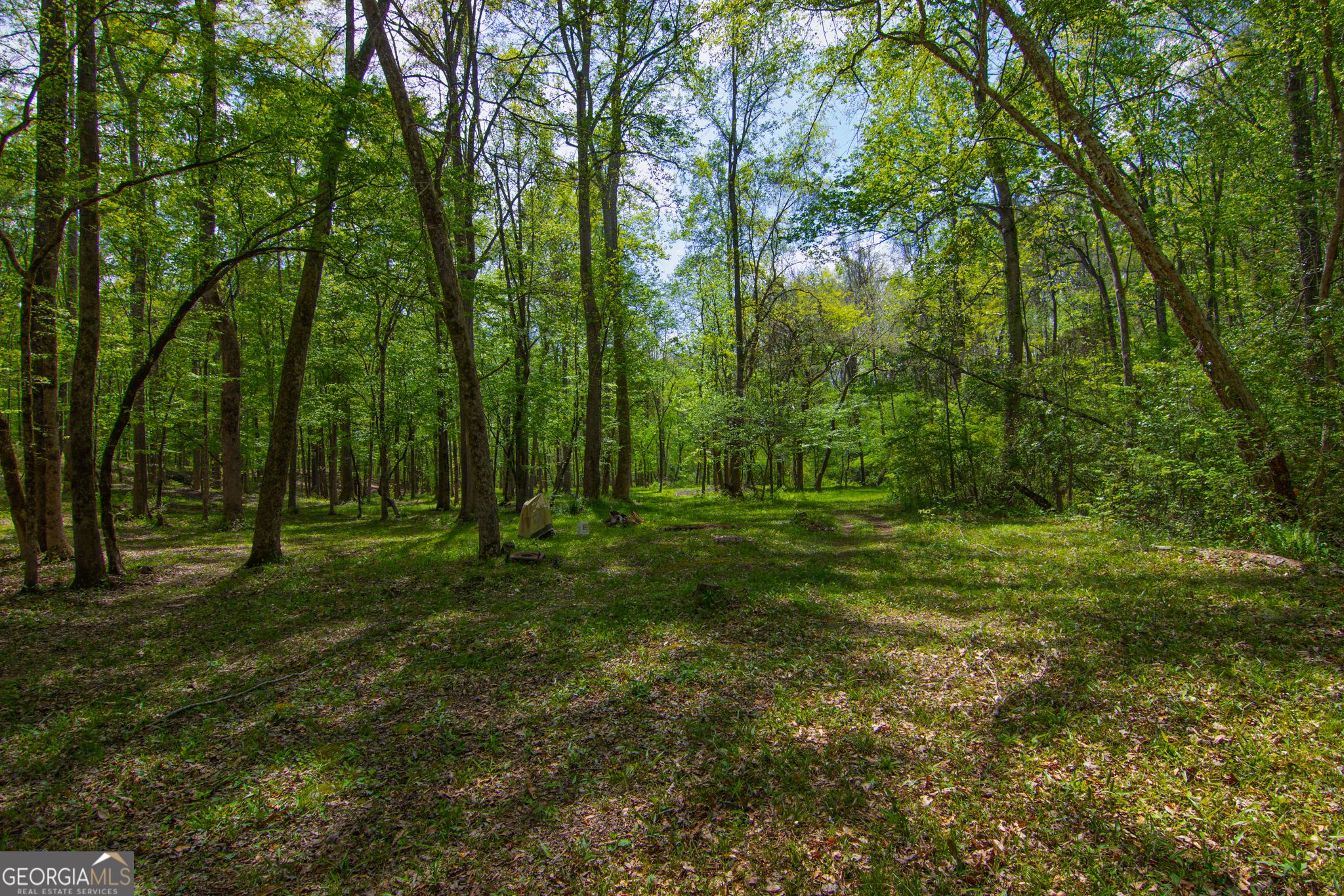 476 Wildwood Plantation Drive Cataula GA 31804