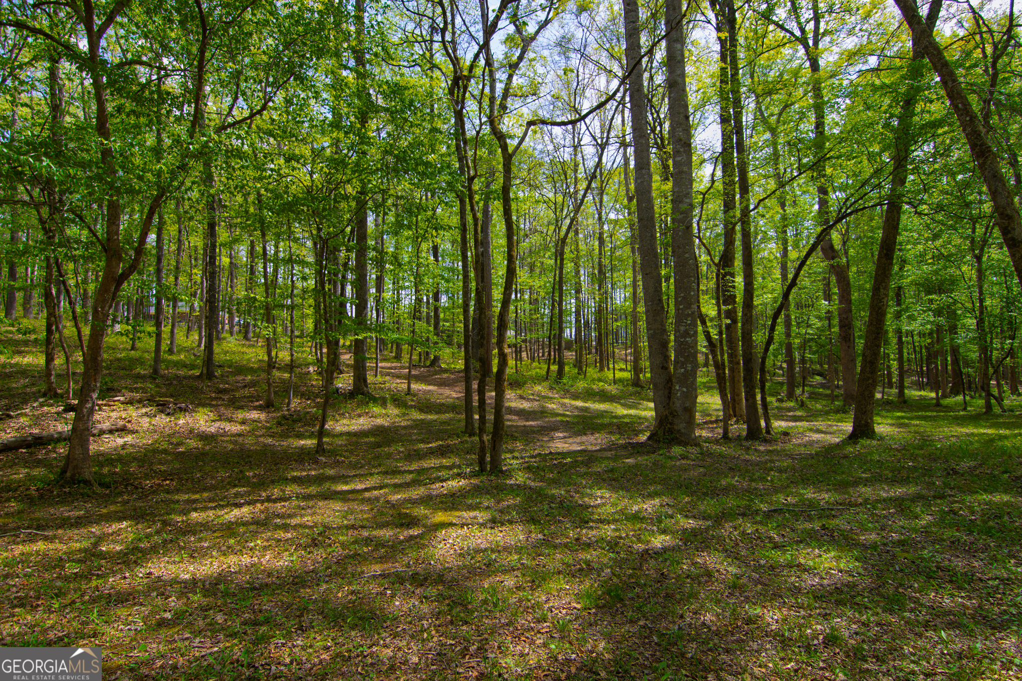 476 Wildwood Plantation Drive Cataula GA 31804