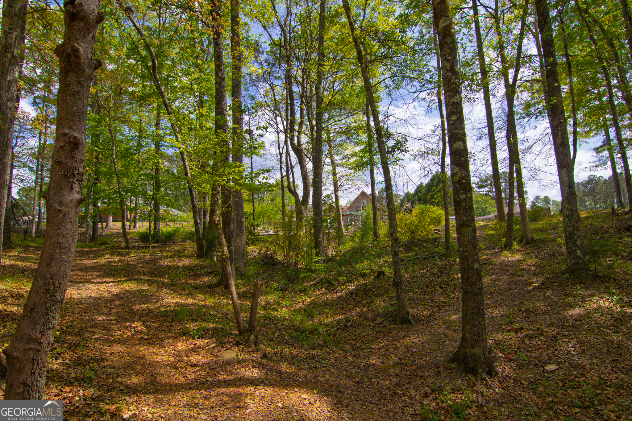 476 Wildwood Plantation Drive Cataula GA 31804