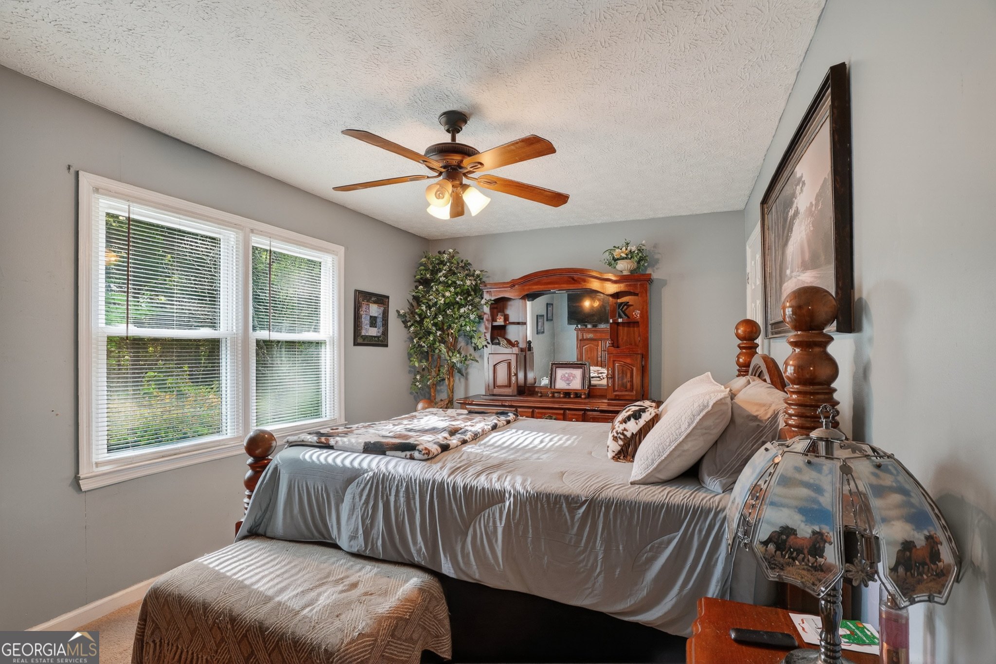 227 Shady Lane Williamson GA 30292