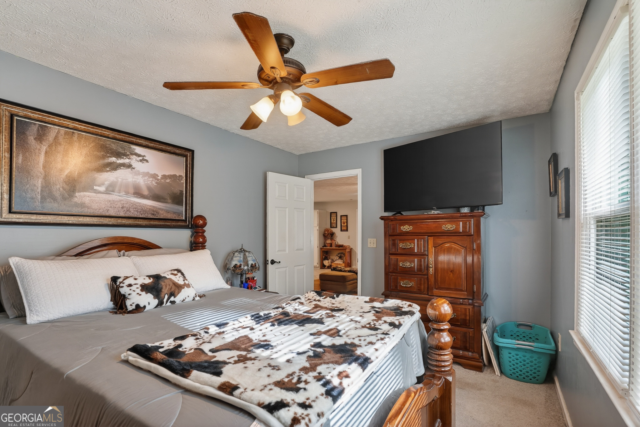 227 Shady Lane Williamson GA 30292